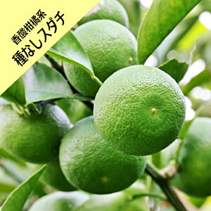 y_kn~Jz햳X_`iږؕcj4LL|bg