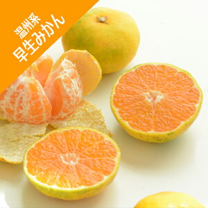 yBnk~Jz݂iږؕcj4LL|bg