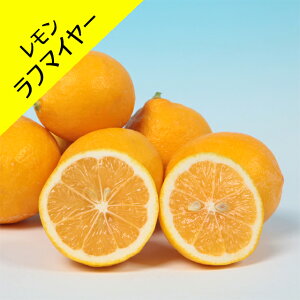 y_kn~Jzt}C[iږؕcj4LL|bg