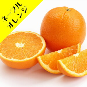 y̑kn~Jzl[uIW iږؕcj4.5LL|bg