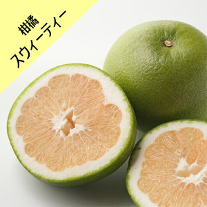 y̑kn~JzXEB[eB[ iږؕcj4LL|bg