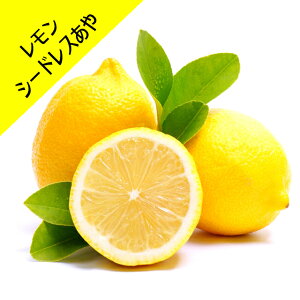 y_kn~Jz햳V[hXR4L|bgiږؕcj