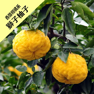 y_kn~JzqMqiږؕcj4LL|bg