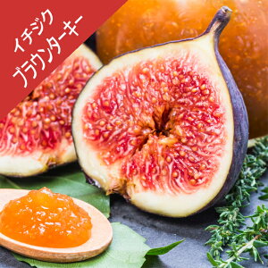 yC`WNzuEE^[L[i}ؕcj4LL|bg