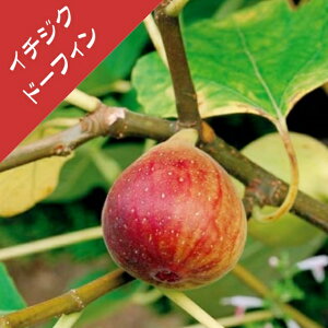 yC`WNzh[tBi}ؕcj4.5|bg