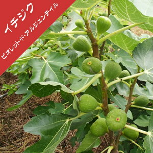 yC`WNzrIbgEhEAWFeCi}ؕcj4LL|bg