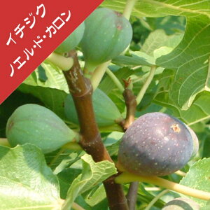 yC`WNzmGEhEJi}ؕcj4LL|bg