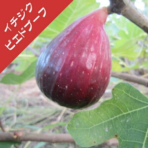 yC`WNzsGhEu[ti}ؕcj4LL|bg