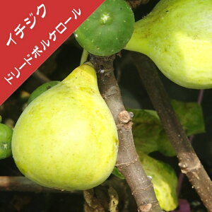 yC`WNzh[hE|P[i}ؕcj4LL|bg