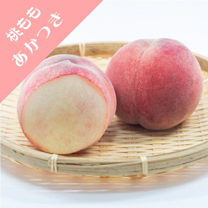 楽天市場】【モモ属】桃 あかつき 接木苗 4号LLポット : 産直花だん屋
