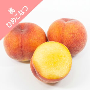 yz@Ђ߂Ȃiږؕcj4LL|bgo^i