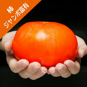 yJLmLziÊ`jW{xL`iږؕcj4LL|bg