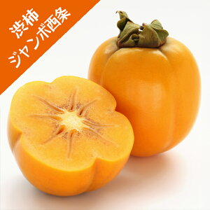 yJLmLzia`jW{`iږؕcj4LL|bg