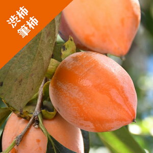 yJLmLzia`jM`iږؕcj4LL|bg