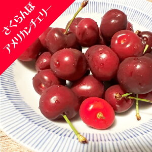 yTNzڃAJ`F[iږؕcj4LL|bg