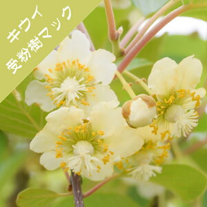 yAN`jfBAzLEC@IX؁iYj }bN@Y(ږؕc)4LL|bg