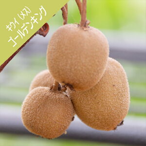 yAN`jfBAzLEC@X؁ijS[fLO(ږ؁j4LL|bg