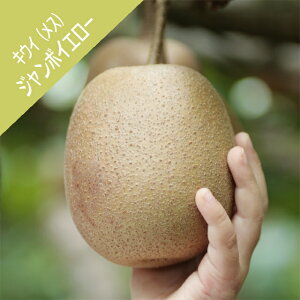 yAN`jfBAzLEC@X؁ijW{CG[(ږ؁j4|bg