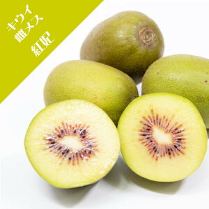 yAN`jfBAzLEC@X؁ij(X)g(Ԑg)(ږ؁j4LL|bg