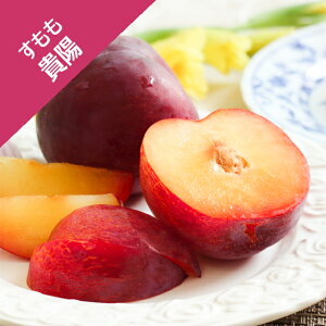 yTNz@Mziږؕcj12cm|bg