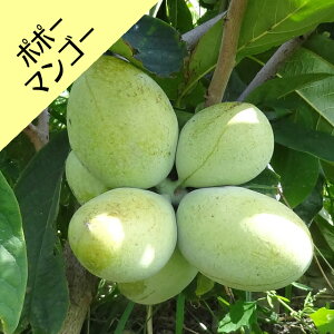 yAVi~z||[@}S[ږؕc@5|bg