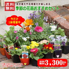 すべての美しい花の画像 新鮮な花苗 通販 激安 すべての美しい花の画像 新鮮な花苗 通販 激安