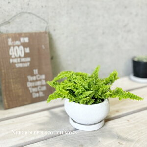 ϗtAyltsXzltsX XRb`X4픫iCF05-12WHjiMtj