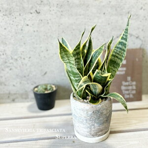 ϗtAyTZBGAzTXxAEX[p[o[4.5ZgiHH31472jiMtRS120j