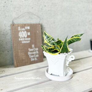 ϗtAyTZBGAzTXxAETcCX^[4픫i20103-1E12jiMtCX137j