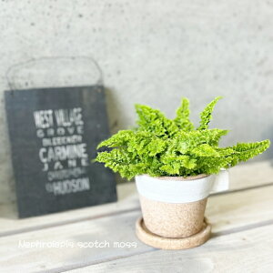 ϗtAyltsXzltsX XRb`X 3.5ZgiGBGY1011WHSWjiMtj