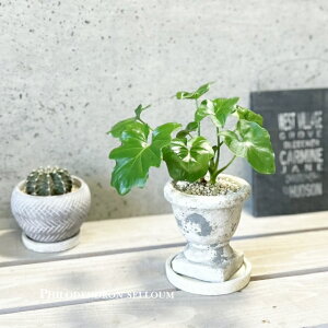 ϗtAytBfhztBfhEZ[S4ZgiMM02GYBBjiMtRS120j