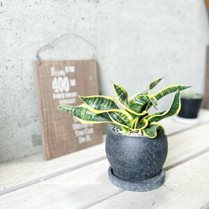 ϗtAyTZBGAzTXxAETcCX^[4ZgiGG32T-GRjiMtRS120BKj