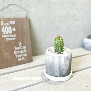 AyXemPEXznVT{e 剤t4Zg(GG30A-TA)iMtRS120j