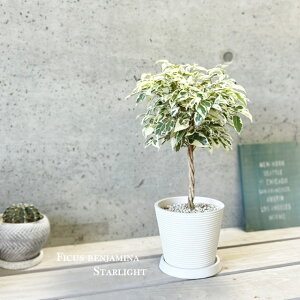 ϗtAytBJXztBJX@xW~i@X^[Cg 4i{^j[~fB|bg12^jiMtj