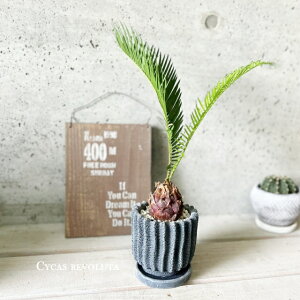 ϗtAy\ecz\ec3.5ZgiKL47BKBBjiMtj