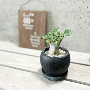 ϗtAyAfjEzAfjE(s)iGG32T-GRjiMtRS120BKj