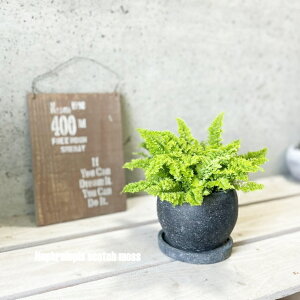 ϗtAyltsXzltsX XRb`X 4ZgiGG32T-GRjiMtRS120BKj