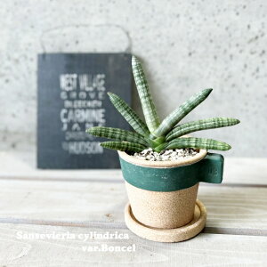 ϗtAyTZBGAzTXxAEVhJ{ZVX3.5ZgiGBGY1011GRSWjiMtj