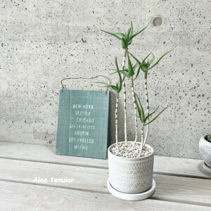 ϗtAyAGzAG X 4ZgiHH8104jiMtRS120j