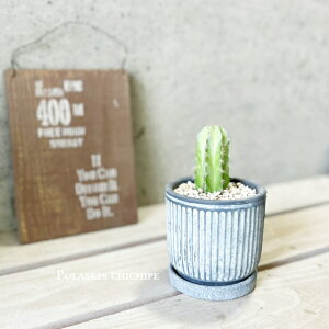 Ay|XLAznVT{e _t3.5ZgiKL21BKBBjiMtj