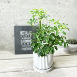 ϗtAyVFtzVFtA@RpN^4ZgiHH31803jiMtjJ|bNEzRJ|bN