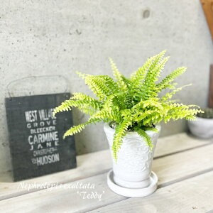 ϗtAyltsXi^}V_jzltsX cf[4.5픫iMR03-135jiMtCX137j