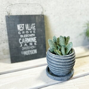 AyKXeAzKXeA4ZgiWC855-BKjiMtRS120-BKj