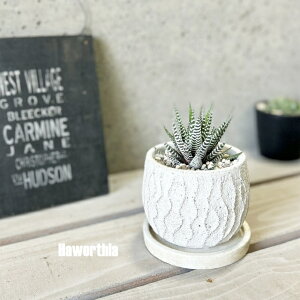 AynI`Az\̊@4ZgiWC609S-WjiMtRS120j