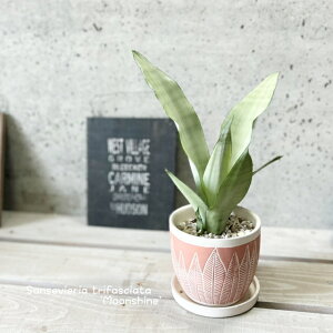 ϗtAyTZBGAzTXxAE[VC4ZgiCP847ORjiMtj