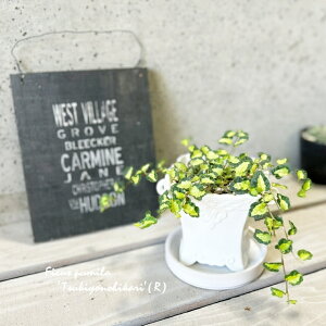 ϗtAytBJXztBJXv~@cLmqJ4픫i20103-1E12jiMtCX137j