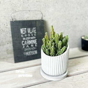 AyZEXzZEXEyBAkX4ZgiHH31803jiMtj