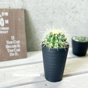 AyGLmJN^XzGLmJN^X@ 3.5vX`bN