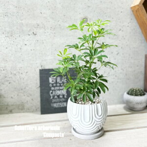 ϗtAyVFtzVFtA@RpN^5ZgiHH30444jiMtjJ|bNEzRJ|bN