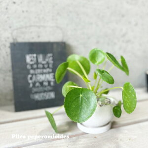 ϗtAysAzsAEyy~ICfX4픫iCF05-12WHjiMtj